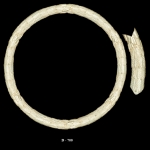 РН-П-334