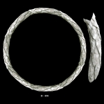 РН-П-233